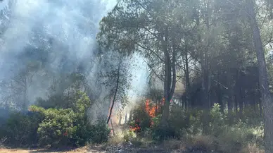 İzmir'deki Orman Yangınlarıyla İlgili İki Şüpheli Gözaltına Alındı