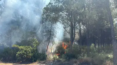 İzmir'deki Orman Yangınlarıyla İlgili İki Şüpheli Gözaltına Alındı