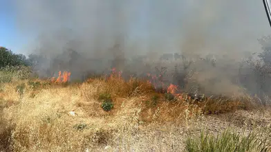 Kütahya'da Otluk Alanda Yangın Çıktı: Ekipler Yangına Müdahale Ediyor!
