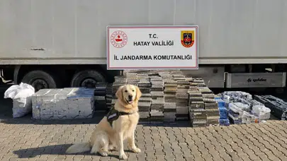 Tır dorsesindeki gizli bölmede 3 bin karton kaçak sigara ele geçirildi!