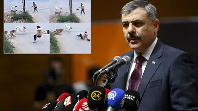 Bakan Çiftçi’den Cesur Açıklama: Yıl Sonuna Kadar Sokak Köpeklerinin Barınaklara Yerleştirilmesi Hedefleniyor