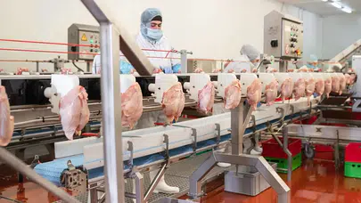 Beyaz Et Pazarında Fiyat İstikrarı İçin 13 Şirkete Denetim Kayyumu Atandı
