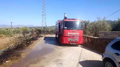 Gaziantep'te Zeytinlik Alanında Şiddetli Yangın Çıktı