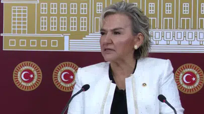 CHP'li Nimet Özdemir, İstanbul Milletvekilliğinden Ayrıldığını Duyurdu