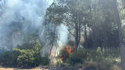 İzmir'deki Orman Yangınlarıyla İlgili İki Şüpheli Gözaltına Alındı