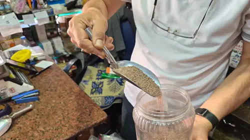Karnıyarık Tohumu Zayıflatır mı? Uzmanından Önemli Uyarılar